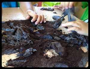 INN - Dirt Play Doug